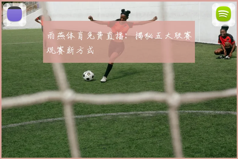 雨燕体育免费直播：揭秘五大联赛观赛新方式