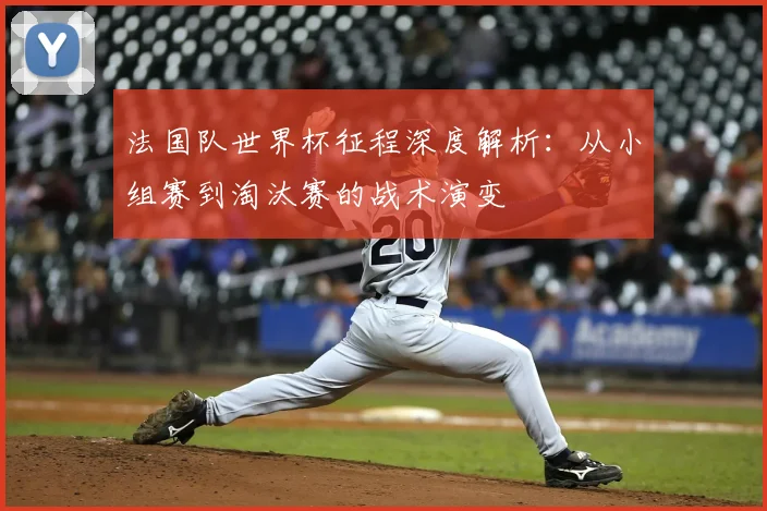 法国队世界杯征程深度解析：从小组赛到淘汰赛的战术演变