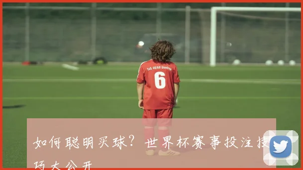 如何聪明买球？世界杯赛事投注技巧大公开