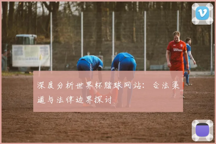 深度分析世界杯赌球网站：合法渠道与法律边界探讨